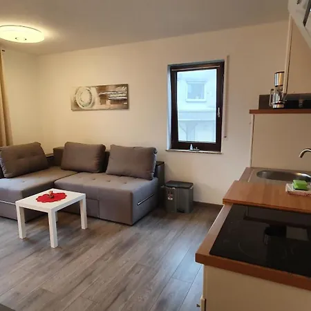 Apartment Haus Schneider *